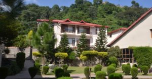 new year party packages kasauli