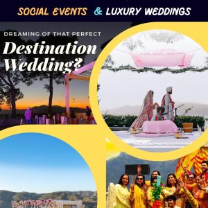 Fortune Kasauli Marriage