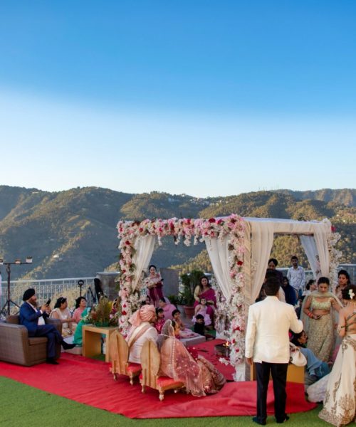 destination-wedding- kasauli- forest hill